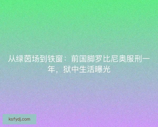 从绿茵场到铁窗：前国脚罗比尼奥服刑一年，狱中生活曝光
